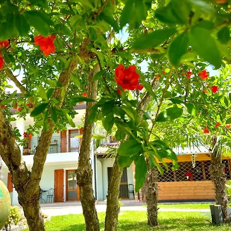 Casa Colibri Διαμέρισμα San Giovanni di Polcenigo