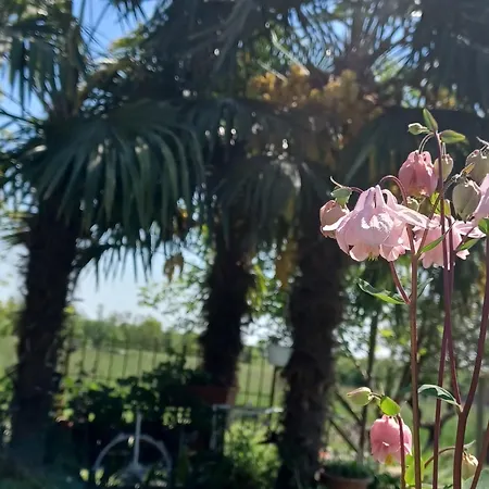 Διαμέρισμα Casa Colibri *