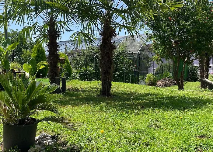 Casa Colibri Apartman *