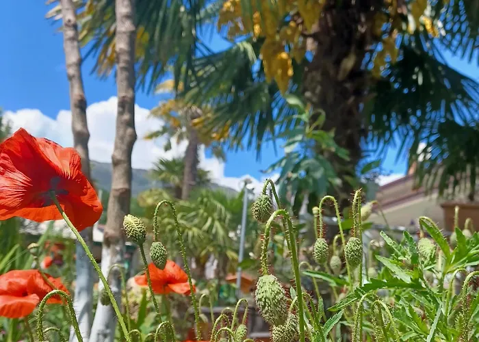 Casa Colibri * San Giovanni di Polcenigo